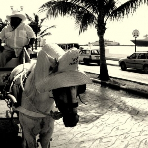 The Streets of Cozumel