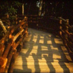 DI_1977_nr_1