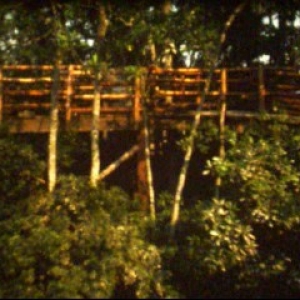 DI_1977_nr_2