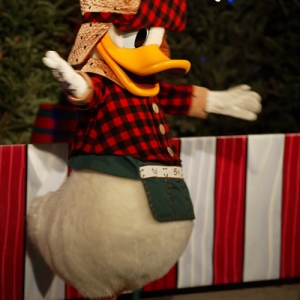 Donald(?) at MVMCP