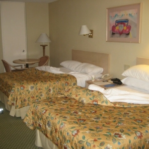 hojo_bed