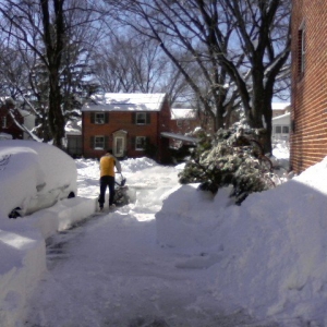 diggingout