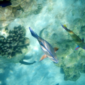 P4040129