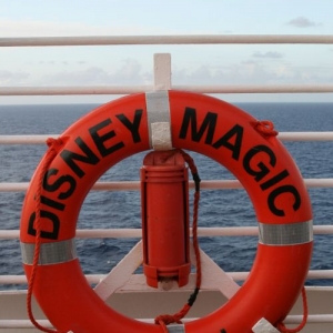 Whitley Magic 2007