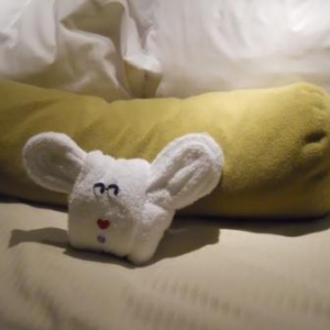 towel_bunny