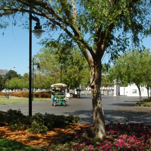 Yacht Club Boardwalk Scenery