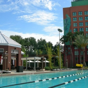 Dolphin lap pool_2
