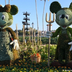 FlowerGarden2010_-_69