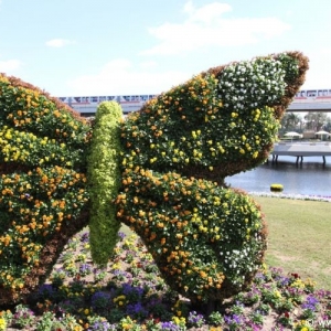 Media 'Epcot_Flower_Garden_Festival_035' in category '2010 Flower and Garden Festival'