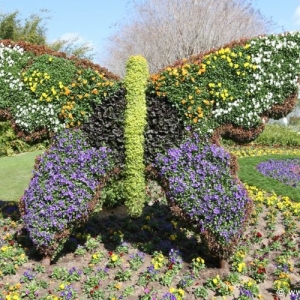 Epcot_Flower_Garden_Festival_036