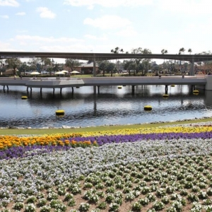 Epcot_Flower_Garden_Festival_042