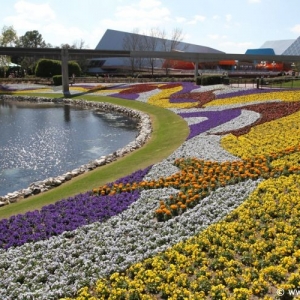 Epcot_Flower_Garden_Festival_047