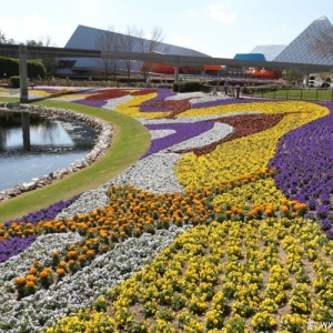 Epcot_Flower_Garden_Festival_048