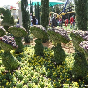 Epcot_Flower_Garden_Festival_052