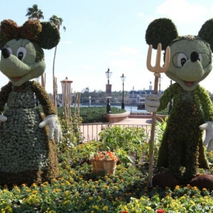 Media 'Epcot_Flower_Garden_Festival_059' in category '2010 Flower and Garden Festival'