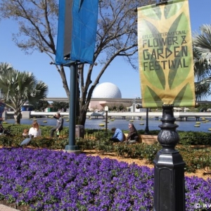 Epcot_Flower_Garden_Festival_064