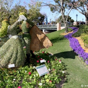 Epcot_Flower_Garden_Festival_133