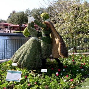 Epcot_Flower_Garden_Festival_134