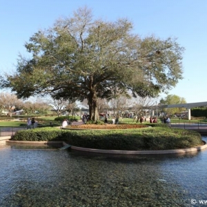 Epcot_Flower_Garden_Festival_153