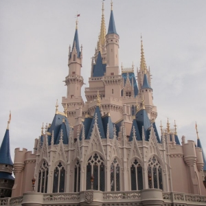 The Castle