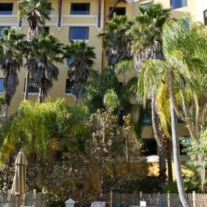 Universal-RoyalPacific-61