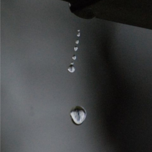 DSC_0193a