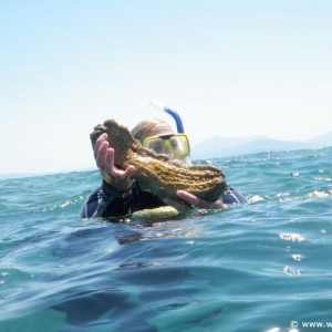 Great Barrier Reef