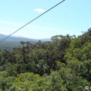 Skyrail