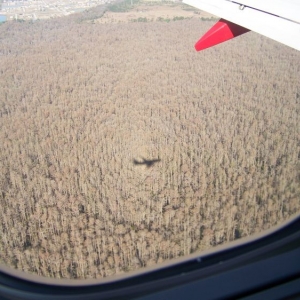 View from the plane