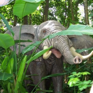 Jungle Cruise Elephant