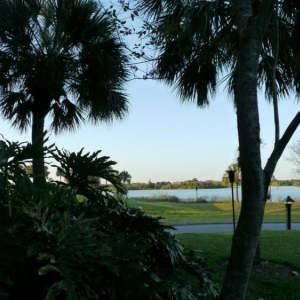Poly pic