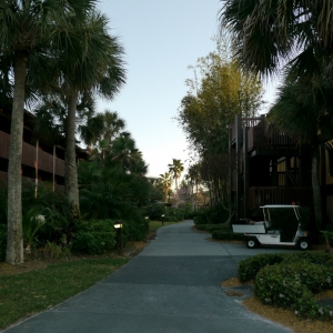 Poly Pic