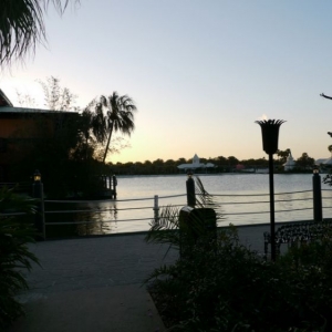 Poly pic