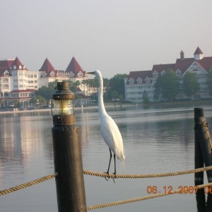 Morning at the Polynesian boat launch