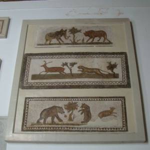 Tunis_Bardo_Museum_023