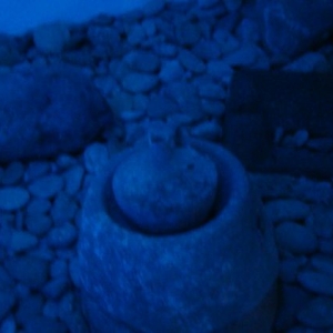 Tunis_Bardo_Museum_093
