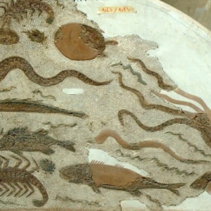 Tunis_Bardo_Museum_189