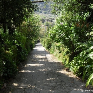 Day7-Photos-Sorrento30