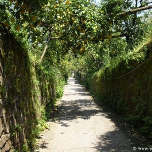 Day7-Photos-Sorrento45