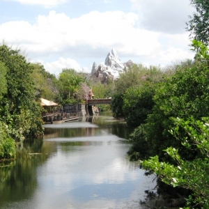 Animal Kingdom Everest 3-2009