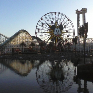 california adventure/disneylan resort