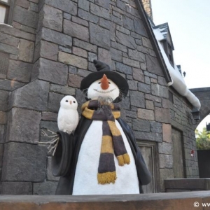 Harry_Potter_-_06