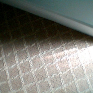 Photo001