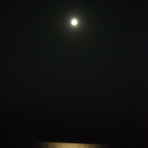 moonlight
