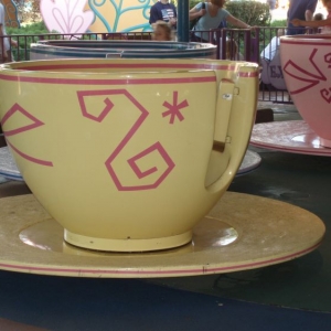 Teacup at MK WDW