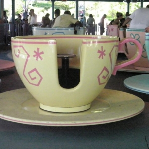 Teacup at MK WDW