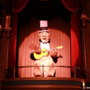 Country_Bear_Jamboree_03