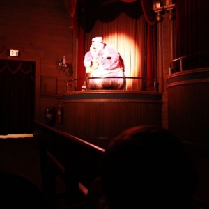 Country_Bear_Jamboree_09