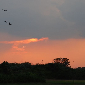 sunset_1