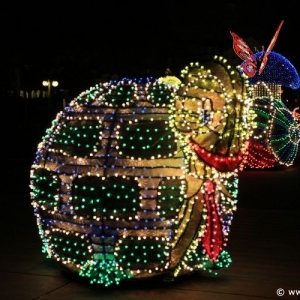 Main-Street-Electrical-Parade-11